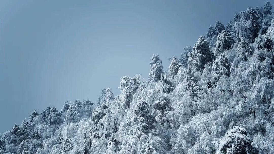 王者荣耀法师排行
